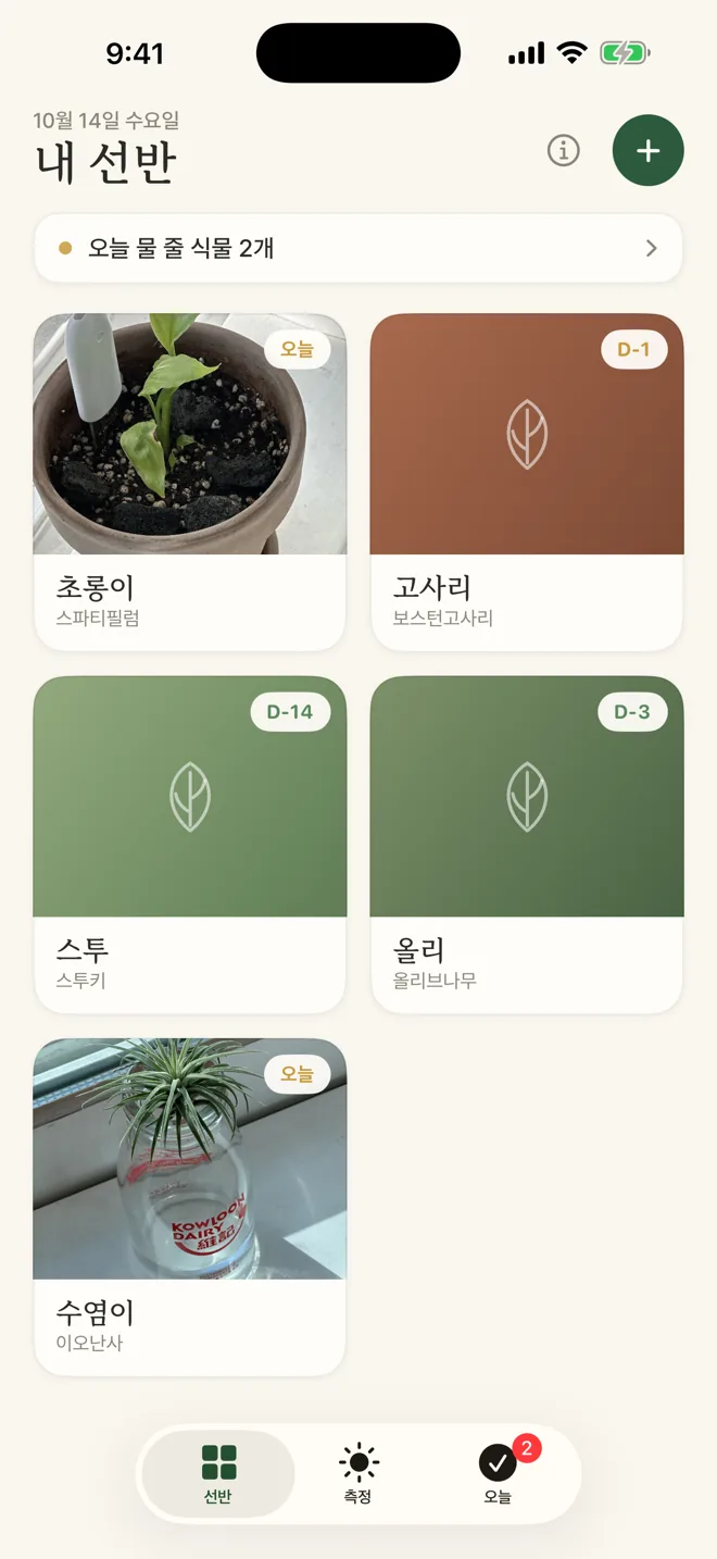 식집사 내 선반 화면 — 초롱이·고사리·스투·올리·수염이 화분 다섯 개, 초롱이와 수염이는 직접 찍은 사진 카드, 오늘 물 줄 식물 2개